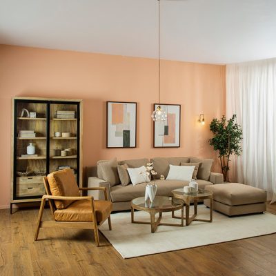 סלון בעיצוב כפרי מודרני כורסת עור וספת בד גדולה