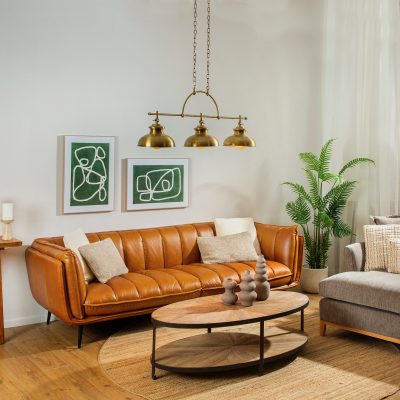 סלון מעוצב ספת עור רחבה שולחן אובאלי ותמונות